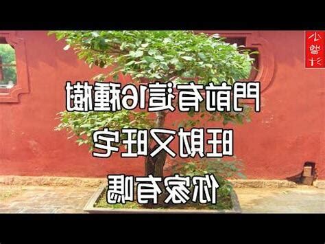 桃樹 風水